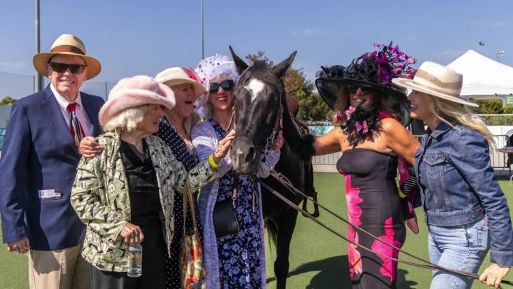 A group of people with nice outfits and ornate hats pose in a park with a horse.